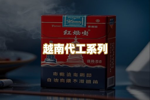 越南代工系列